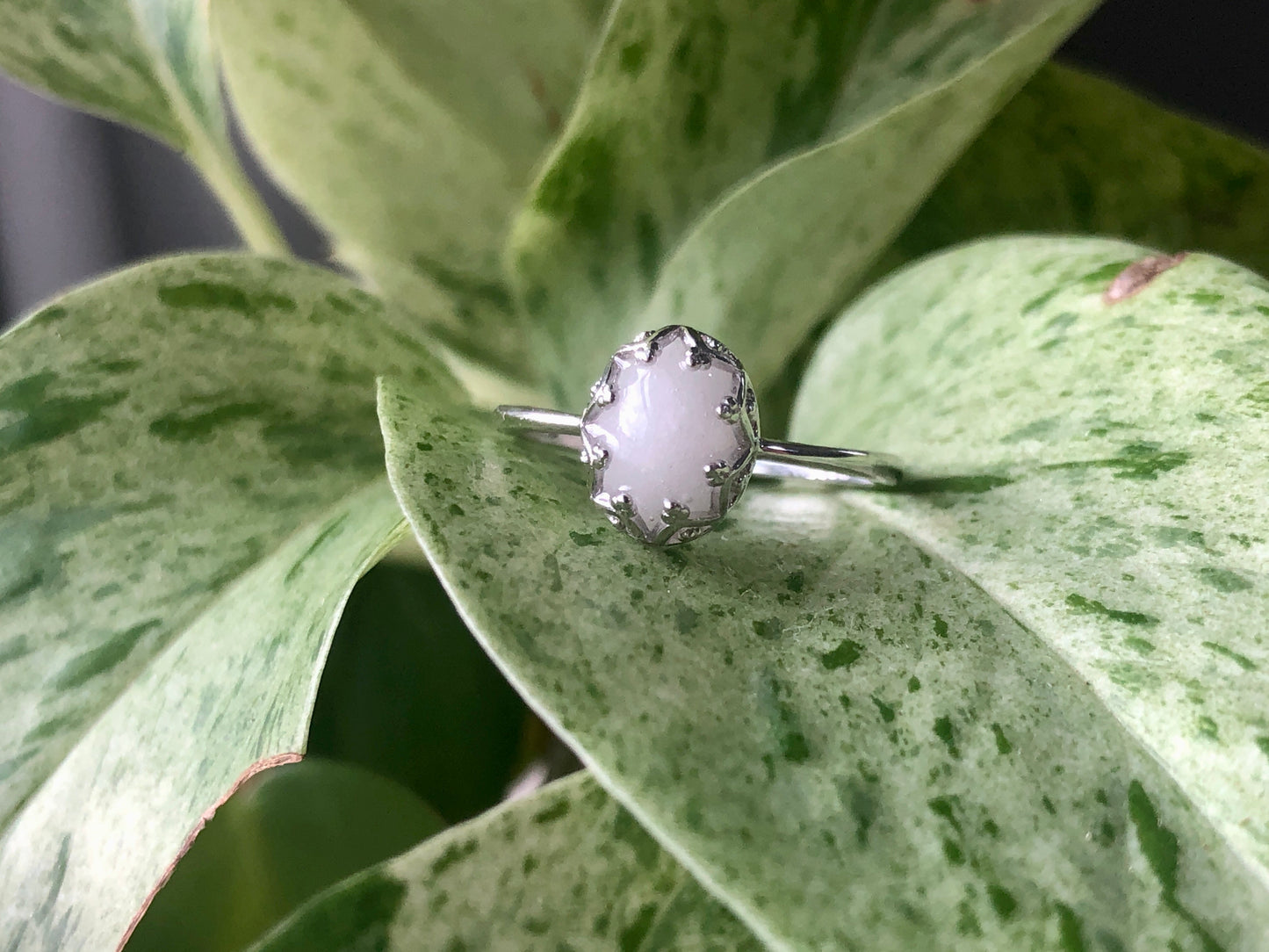 The Jane 14k